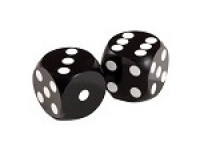 Backgammon Precision Dice